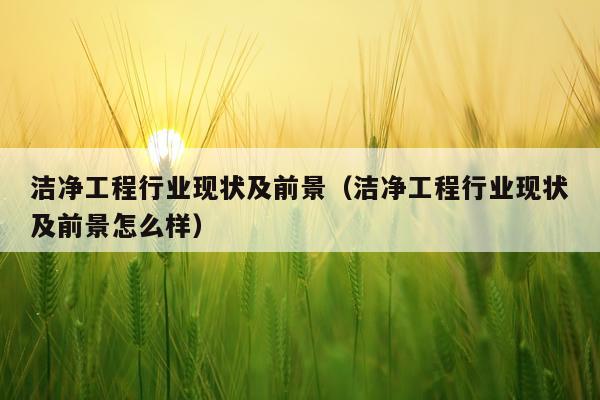 洁净工程行业现状及前景（洁净工程行业现状及前景怎么样）