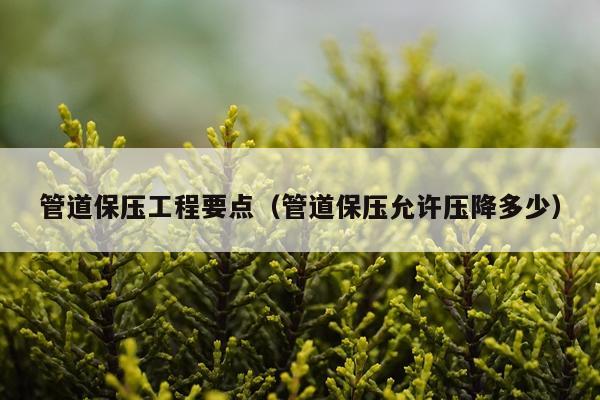 管道保压工程要点（管道保压允许压降多少）