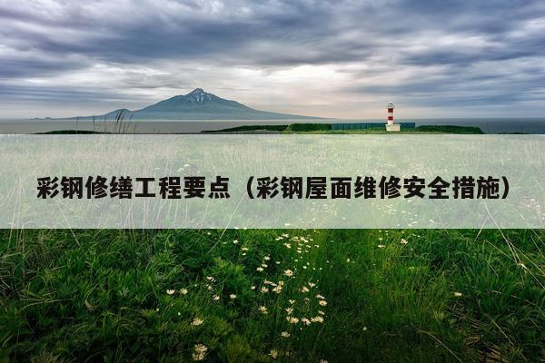 彩钢修缮工程要点（彩钢屋面维修安全措施）