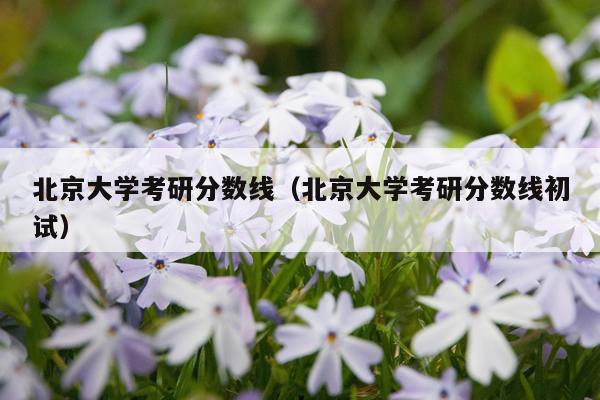 北京大学考研分数线（北京大学考研分数线初试）