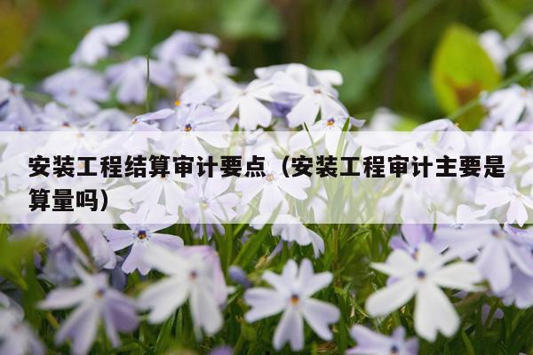 安装工程结算审计要点（安装工程审计主要是算量吗）