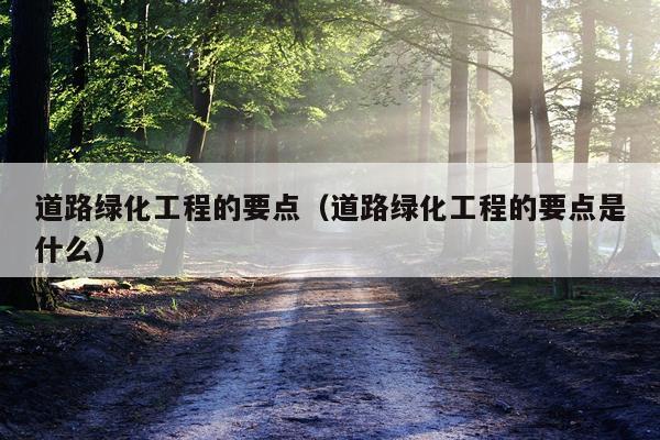 道路绿化工程的要点（道路绿化工程的要点是什么）