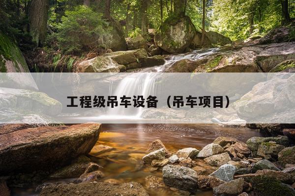 工程级吊车设备（吊车项目）