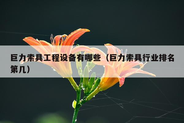 巨力索具工程设备有哪些（巨力索具行业排名第几）