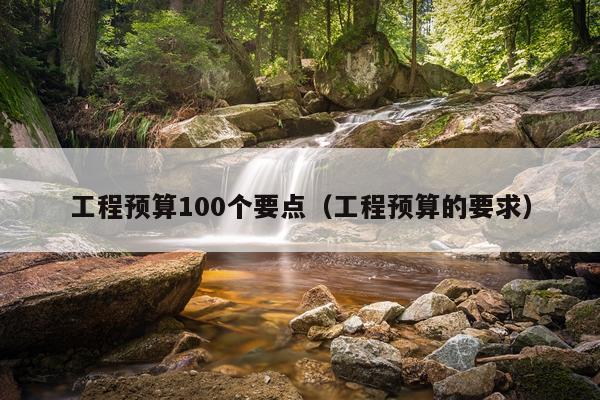 工程预算100个要点（工程预算的要求）