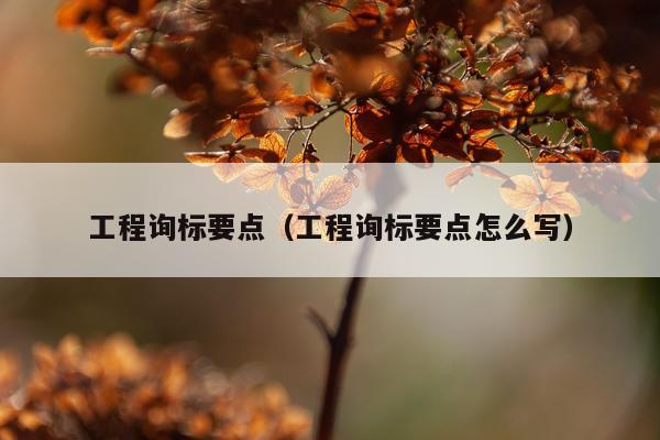 工程询标要点（工程询标要点怎么写）