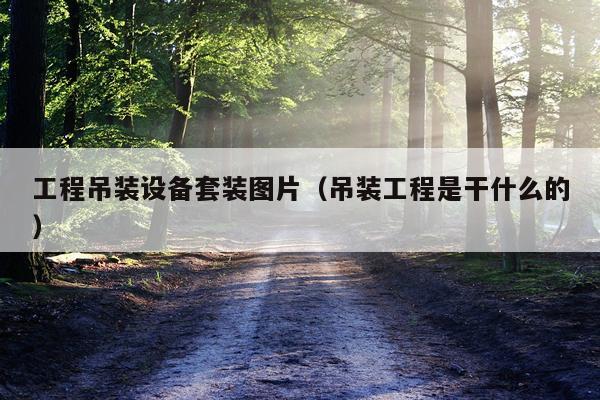 工程吊装设备套装图片（吊装工程是干什么的）