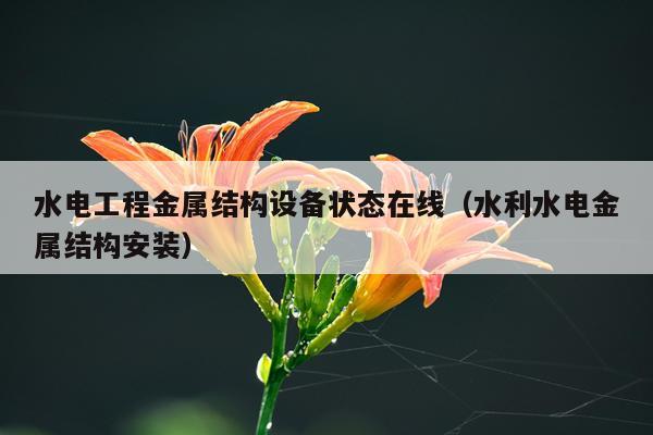 水电工程金属结构设备状态在线（水利水电金属结构安装）