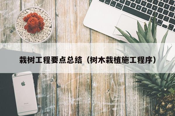 栽树工程要点总结（树木栽植施工程序）