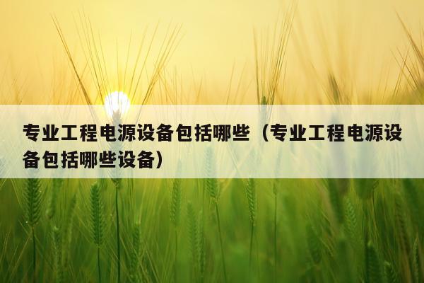 专业工程电源设备包括哪些（专业工程电源设备包括哪些设备）