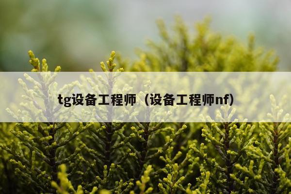 tg设备工程师（设备工程师nf）