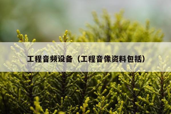 工程音频设备（工程音像资料包括）