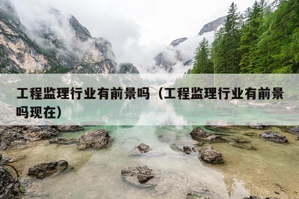工程监理行业有前景吗（工程监理行业有前景吗现在）