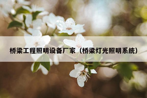 桥梁工程照明设备厂家（桥梁灯光照明系统）