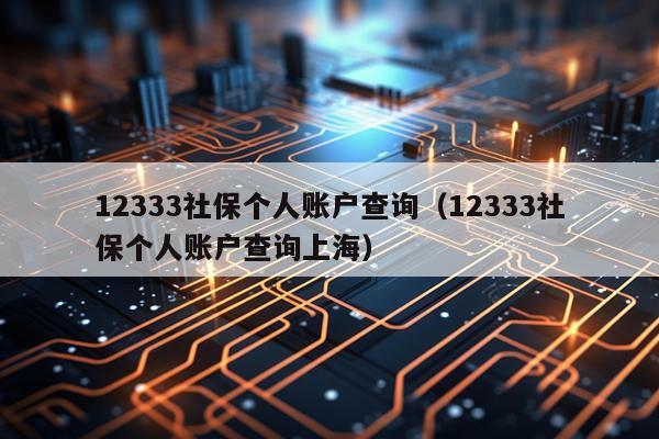 12333社保个人账户查询（12333社保个人账户查询上海）
