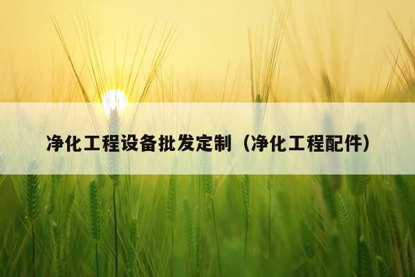 净化工程设备批发定制（净化工程配件）