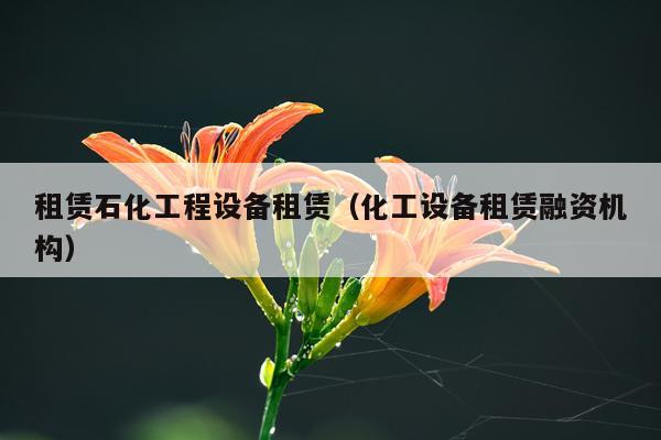 租赁石化工程设备租赁（化工设备租赁融资机构）