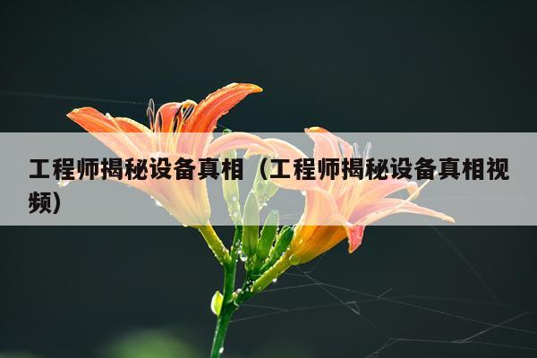 工程师揭秘设备真相（工程师揭秘设备真相视频）
