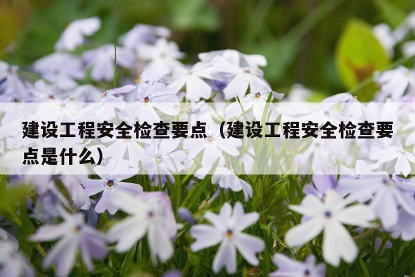 建设工程安全检查要点（建设工程安全检查要点是什么）