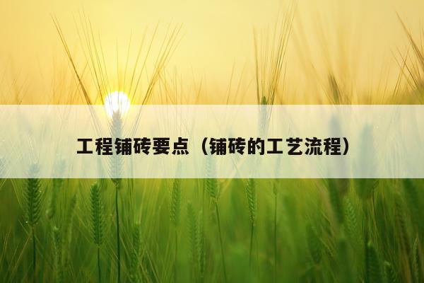 工程铺砖要点(铺砖的工艺流程)