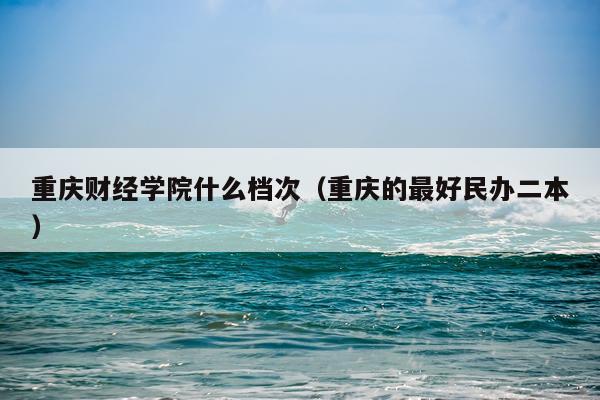 重庆财经学院什么档次(重庆的最好民办二本)