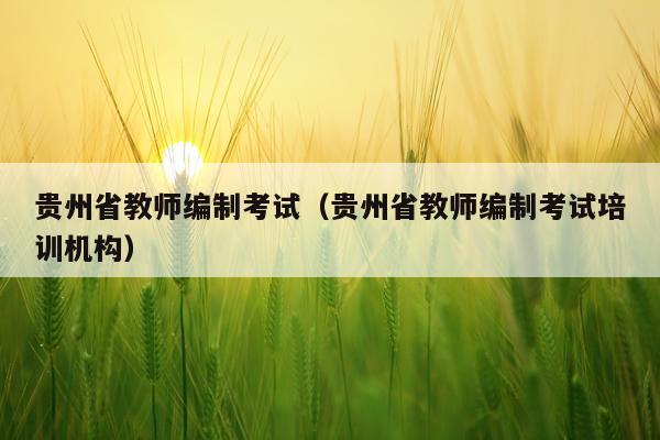 贵州省教师编制考试（贵州省教师编制考试培训机构）