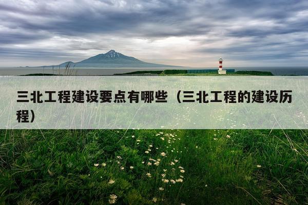 三北工程建设要点有哪些（三北工程的建设历程）