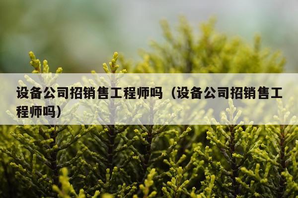 设备公司招销售工程师吗（设备公司招销售工程师吗）