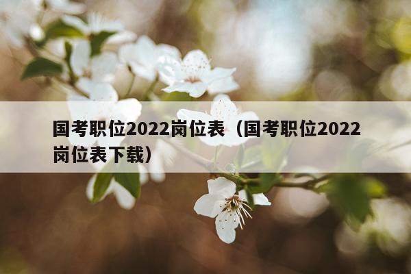 国考职位2022岗位表（国考职位2022岗位表下载）