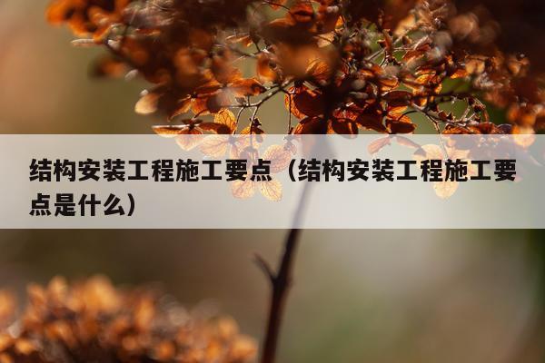 结构安装工程施工要点（结构安装工程施工要点是什么）
