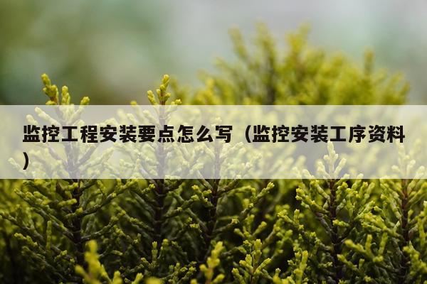 监控工程安装要点怎么写（监控安装工序资料）