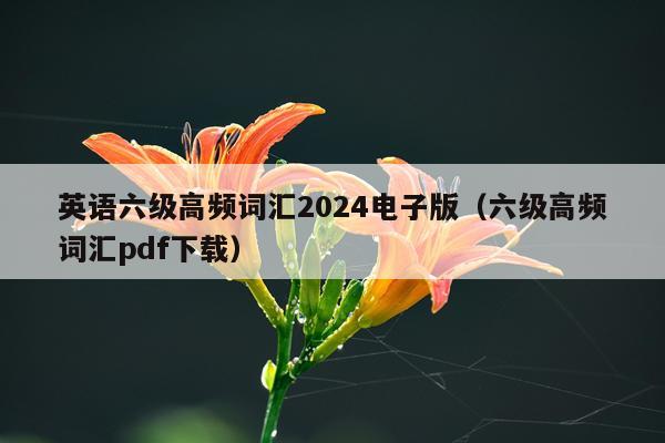 英语六级高频词汇2024电子版（六级高频词汇pdf下载）