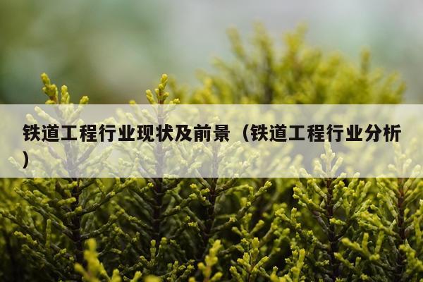 铁道工程行业现状及前景（铁道工程行业分析）