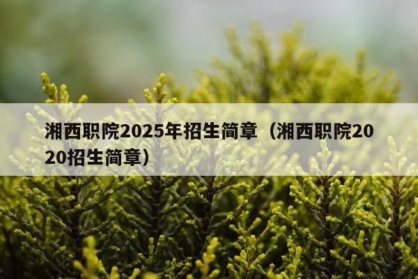 湘西职院2025年招生简章（湘西职院2020招生简章）