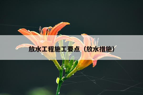 放水工程施工要点（放水措施）