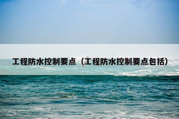 工程防水控制要点（工程防水控制要点包括）