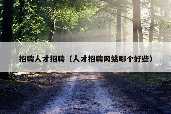 招聘人才招聘（人才招聘网站哪个好些）