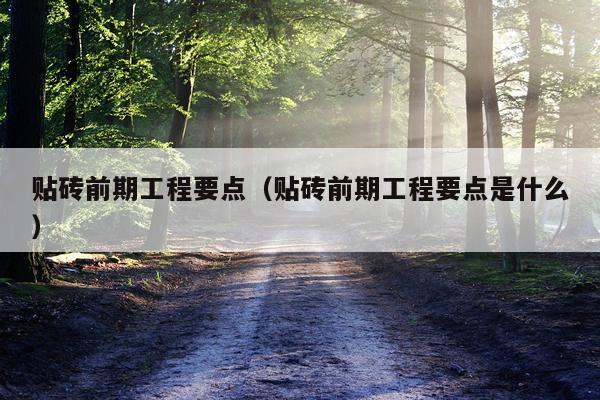 贴砖前期工程要点（贴砖前期工程要点是什么）