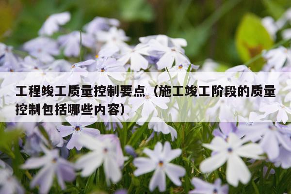 工程竣工质量控制要点（施工竣工阶段的质量控制包括哪些内容）