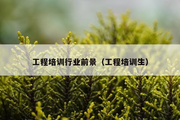 工程培训行业前景（工程培训生）
