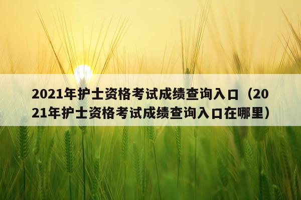2021年护士资格考试成绩查询入口（2021年护士资格考试成绩查询入口在哪里）