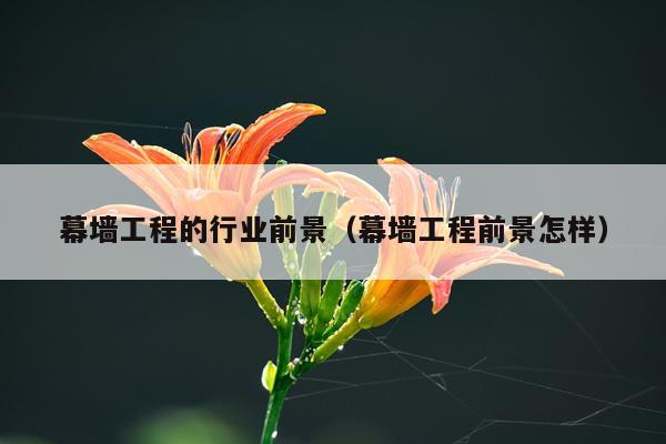 幕墙工程的行业前景（幕墙工程前景怎样）