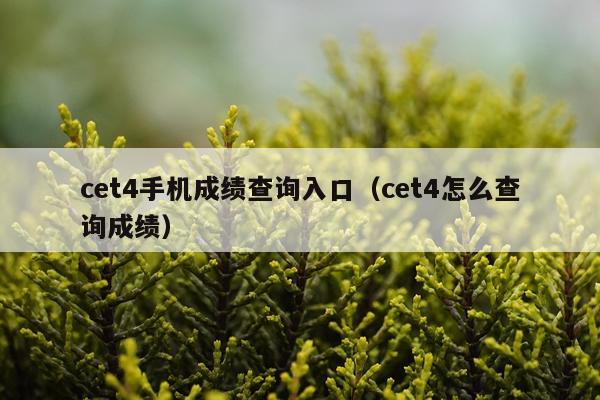 cet4手机成绩查询入口（cet4怎么查询成绩）