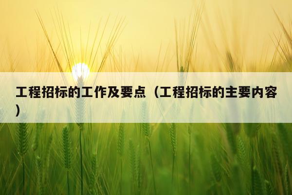 工程招标的工作及要点(工程招标的主要内容)