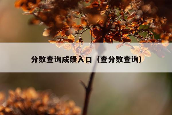 分数查询成绩入口（查分数查询）