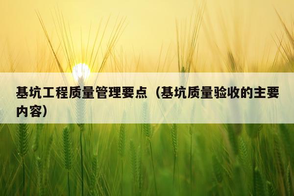 基坑工程质量管理要点（基坑质量验收的主要内容）