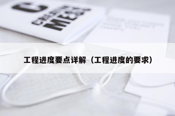工程进度要点详解（工程进度的要求）