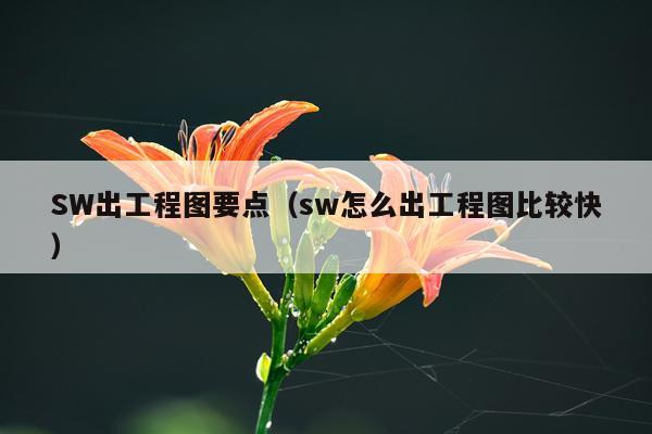 SW出工程图要点（sw怎么出工程图比较快）