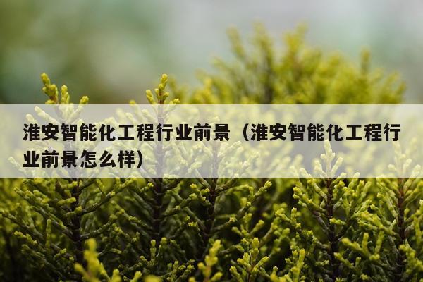 淮安智能化工程行业前景（淮安智能化工程行业前景怎么样）