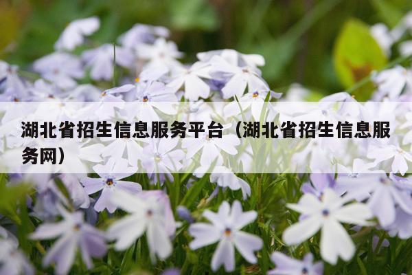 湖北省招生信息服务平台（湖北省招生信息服务网）